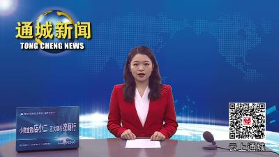 视频-通城县委常委会2023年第2次会议召开 