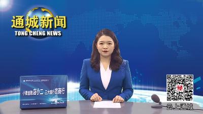 视频-【新春走基层】通城天然气公司紧抓安全生产 全力保供 护航群众温暖过冬 
