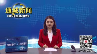 视频-通城县部署春节期间疫情防控工作 
