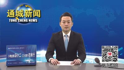 视频-通城：年货节火爆开幕 特色农产品俏销 