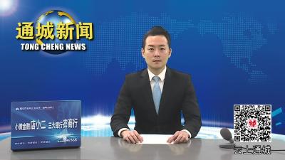视频-大年初一：杨修伟看望慰问坚守工作岗位的一线干部职工 