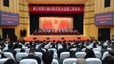 【聚焦市两会】咸宁市六届人大二次会议举行第二次全体会议