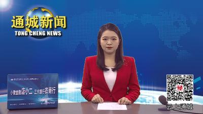 视频-【聚焦市两会】咸宁市六届人大二次会议闭幕