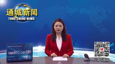 视频-再续精彩！兔年春晚用通城故事讲好通城发展 
