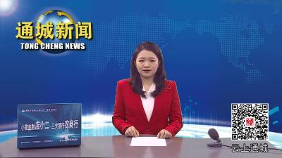 通城县召开2023年新春团拜会