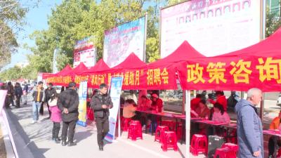 视频-2023年春风行动走进马港镇 让百姓在家门口实现就业 