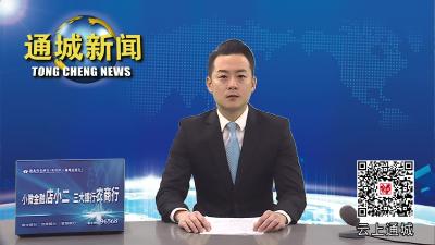 视频-【主播带你看发展⑦】通城高效完成18座病险水库除险加固工程建设 
