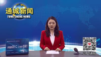 视频-找工作不用出远门！ 通城首场招聘会2000岗位任你选 