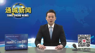 视频-县委常委班子集中学习 