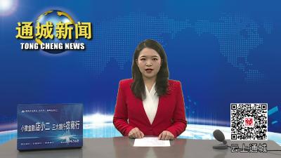 视频-文化迎春 艺术为民 塘湖镇开展迎新春送春联活动 