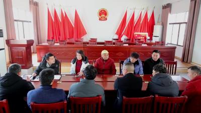 共叙乡情 共谋发展 马港镇百促会选举产生第二届理事会