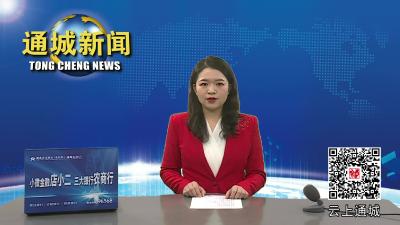 视频-将禁鞭进行到底 | 通城一村民违规燃放烟花爆竹 被行政拘留三天