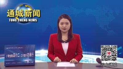 视频-【聚焦市两会】咸宁市六届人大二次会议开幕