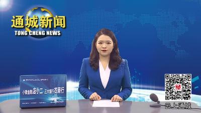 视频-【问政追访③】通城：加快公共停车场建设 缓解城区停车难 