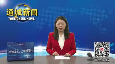视频-通城县领导到麦市镇走访慰问 