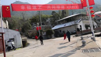 视频-关刀镇道上村开展送春联送灯笼活动 