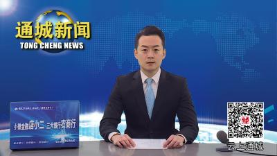 视频-总投资50亿元！电子信息供应链产业园项目拟落户通城 