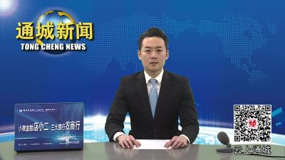 视频-刘中英主持召开县委常委会2023年第1次会议 
