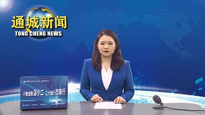 视频-将禁鞭进行到底 | 通城6名群众因违规燃放烟花爆竹被派出所约谈 