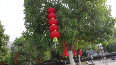 视频-通城县城管执法局：营造春节氛围 增添浓浓年味 