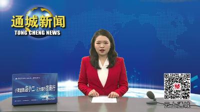 视频-不卖不买不吃！通城三部门联合开展野生动物保护专项检查 