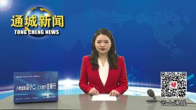 视频-通城县召开森林防灭火工作约谈会 