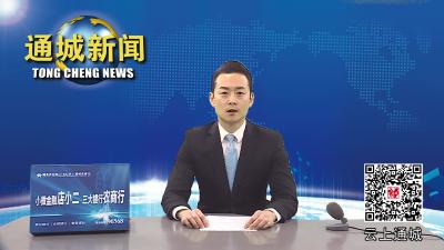 视频-五里镇开展新春文化惠民活动 