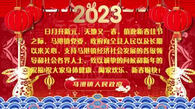马港镇人民政府新春团拜
