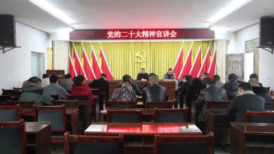视频-县领导到石南镇宣讲党的二十大精神