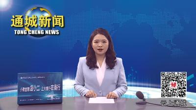 视频-通城县开展烟花爆竹安全专项整治行动