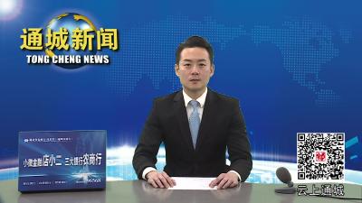 视频-通城县庆祝第三个中国人民警察节 