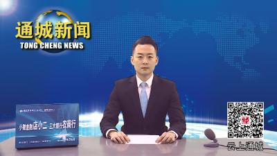 通城：载歌载舞迎元宵 文化惠民贺新春