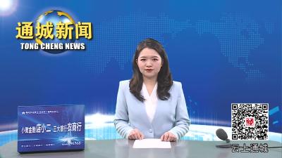 视频-全县公安工作会议召开 