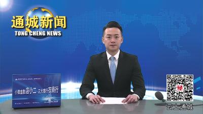 视频-全县卫生健康工作会议召开