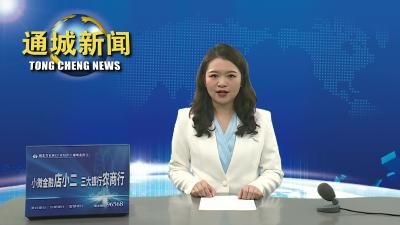 视频-【实干争先奋斗出彩 2023通城县“一把手”系列访谈④】四庄乡：精心谋划 全力推进“花果四庄”建设再上新台阶 
