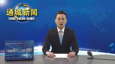 视频-【实干争先 奋斗出彩 2023通城县“一把手”系列访谈⑩】麦市镇：坚持党建引领创建示范品牌 构建高质量产业发展格局 