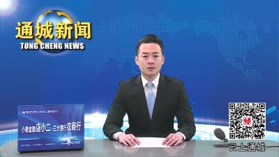 视频-【春耕备耕正当时②】隽水镇上阔村：人勤春来早 蔬菜种植忙 