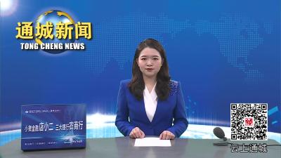视频-市政协来通城调研食品安全“两个责任”工作落实情况 