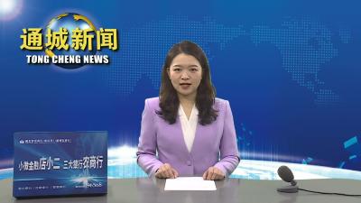 视频-【实干争先 奋斗出彩丨2023通城县“一把手”系列访谈⑤】塘湖镇：创建“五个示范镇”  形成整体工作创一流 