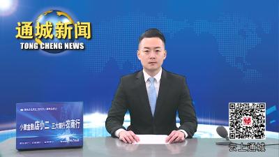 视频-2023年第1次通城县政府常务会召开 