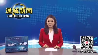 通城：锣鼓喧天迎盛世 文化惠民贺新春