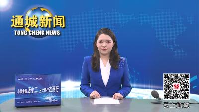 视频-【驻村一线党旗红⑤】省医保局驻界上村工作队：补短板 兴产业 