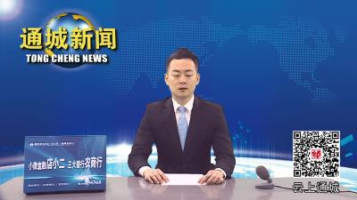 通城今年怎么干？目标是：争先出彩、勇作示范