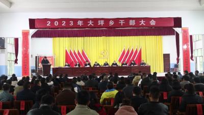 视频-【贯彻落实全县三级干部会议精神】大坪乡：为建设美好瑶乡大坪新篇章奋勇前行 