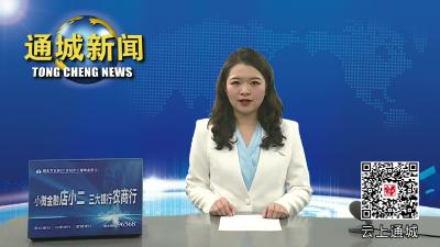 视频-我县部门乡镇贯彻落实全县三级干部会议精神 
