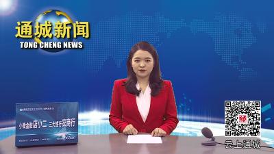 争先出彩、勇作示范！2023年通城县三级干部大会召开