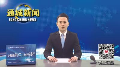 视频-县领导现场办公 高位推进教育项目建设 