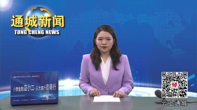 视频-通城县召开校园周边环境整治暨校车安全隐患排查整治工作部署会 