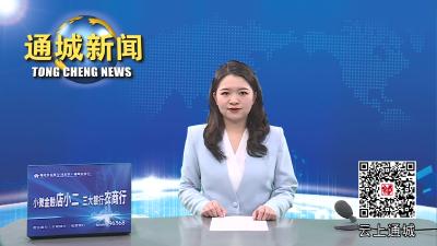 视频-实干争先 奋斗出彩 2023通城县“一把手”系列访谈⑮】通城县卫生健康局：勇担卫健使命  守护人民健康 