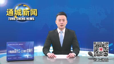 视频-2023年通城县“遍访企业解难题”首场座谈会召开 